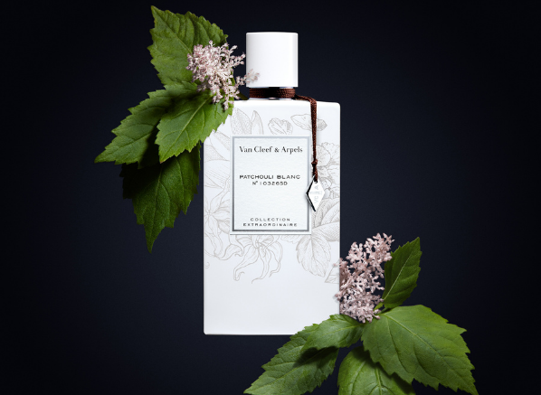 Van Cleef & Arpels Collection Extraordinaire Patchouli Blanc Eau de Parfum review