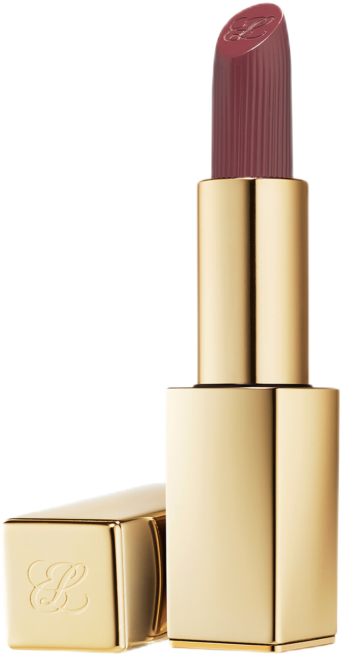 Estee Lauder Pure Color Matte Lipstick 3.5g 690 - Don't Stop