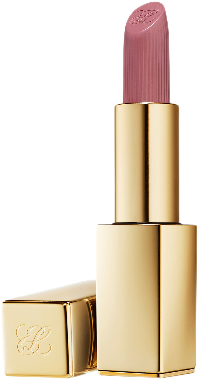 Estee Lauder Pure Color Matte Lipstick 3.5g 816 - Suit Up