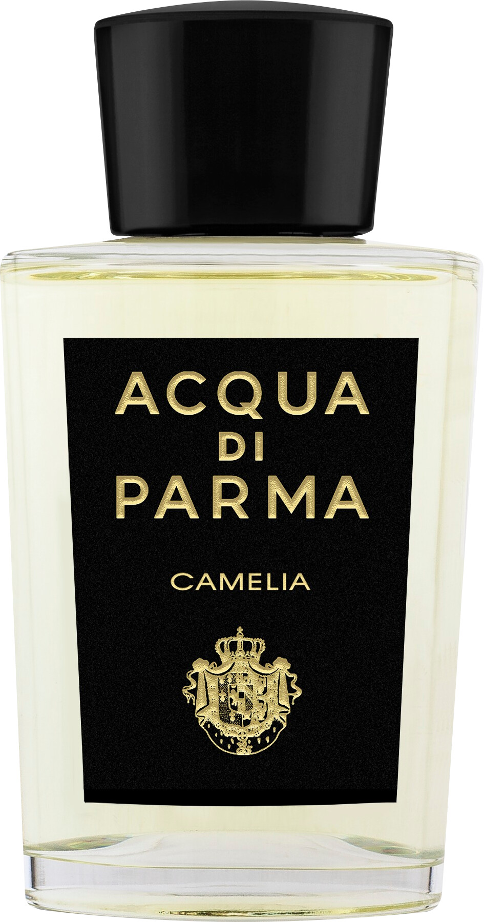 Acqua di Parma Camelia Eau de Parfum Spray 180ml