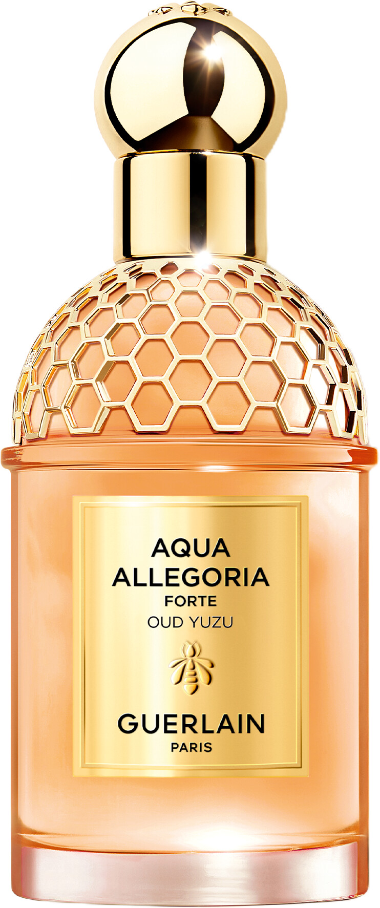 GUERLAIN Aqua Allegoria Forte Oud Yuzu Eau de Parfum Spray 75ml